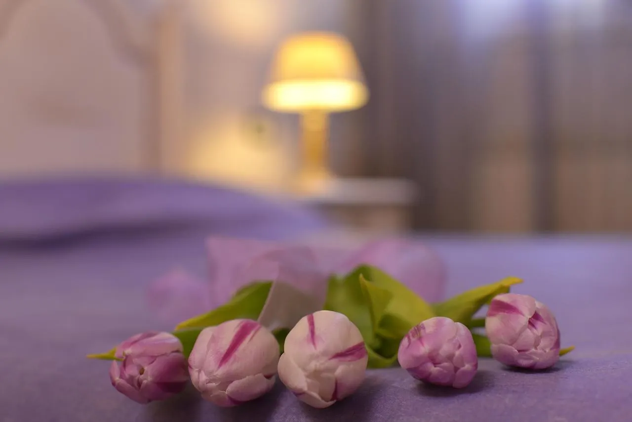 B&B La Casa Dei Tintori Florence Bed & Breakfast